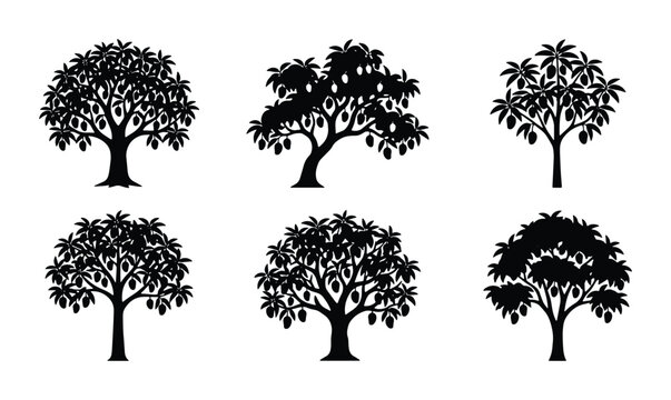 Six Silhouette Mango Trees Vector Set, Tropical Fruit Orchard Icons, Organic Nature Elements