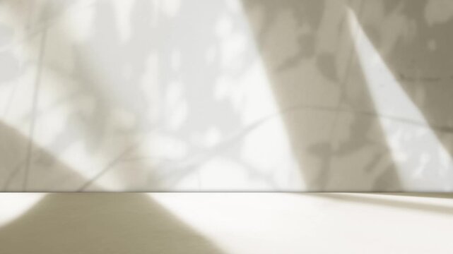 Brown background wall floor with shadow flower gradient peach color backdrop, minimal podium stage loft for presentation product, empty mockup stand interior