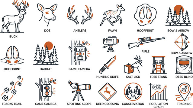 Deer Antlers And Hunting Equipment Vector Illustrations On White Background
