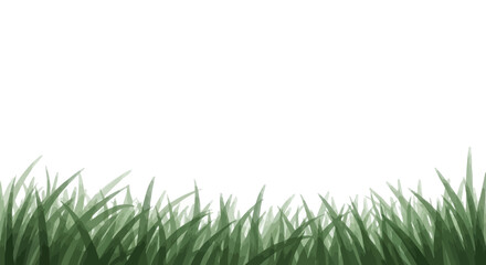 Fototapeta premium Green grass, lawn, foliage, nature, texture, vector border, grassy edge isolated on White Background Editable EPS