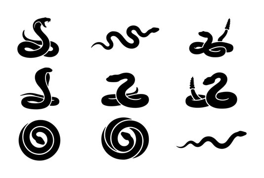 Snake Icons Set, Reptile Silhouettes, Venomous Serpent Vector Graphics, Wild Animal Collection
