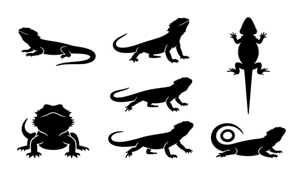 Bearded Dragon Silhouettes, Reptile Vector Icons, Pet Lizard Graphic Set, Animal Collection