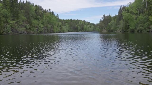 Wide calm lake or river flanked by dense mixed forest of coniferous and deciduous trees. Rocky shoreline visible on the left bank under bright sky.