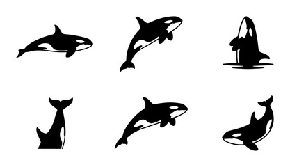 Orca Killer Whale Icons Set, Marine Mammal Vector Graphics, Ocean Wildlife Silhouettes © Sumaiya