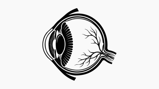 Detailed black and white cross-section illustration of the human eye anatomy showing internal structures like the lens, retina, and optic nerve.