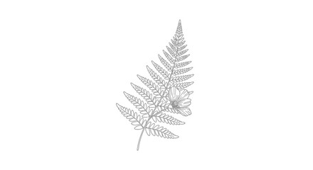 Hand-drawn fern leaf with delicate flower botanical line art © Sri