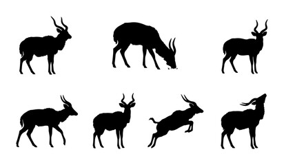 Fototapeta premium Antelope Silhouette Collection, Wildlife Animal Poses, Vector Graphics Set, Nature Fauna Icons