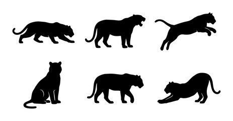 Black Panther Silhouettes Set, Wild Cat Poses Vector Collection, Big Cat Vector Icons © Arif