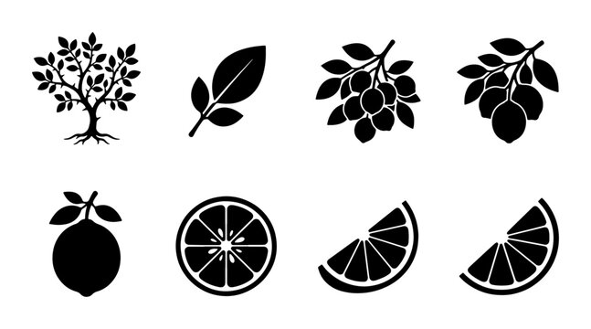 Citrus Fruit Icons, Lemon Tree Branch, Slice Vector Set: Fresh Organic Food Graphics