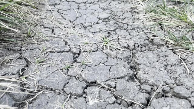 Detailed cracked mud soil texture background during drought season