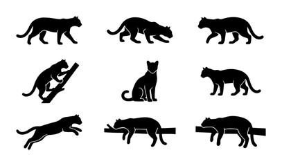 Black Panther Silhouette Collection, Big Cat Poses Vector Set, Wild Animal Graphics for Design © Saifur