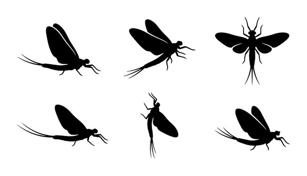Mayfly Silhouettes, Insect Vector Icons, Aquatic Life Graphics, Delicate Winged Creatures