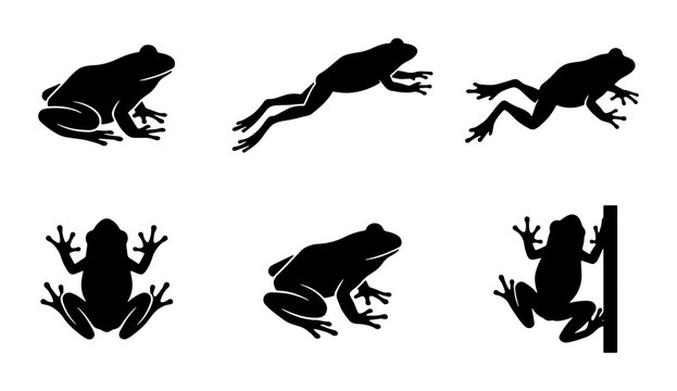 Frog Silhouettes Collection, Amphibian Vector Icons, Wildlife Animal Graphics, Nature Element Set