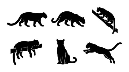 Black Panther Silhouettes, Wild Cat Vector Icons, Feline Animal Poses, Jungle Predator Graphics © Nusrat