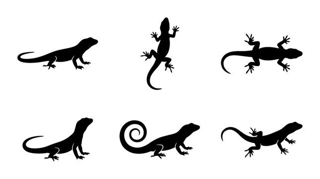 Lizard Silhouettes Collection, Reptile Vector Icons Set, Animal Graphic Elements