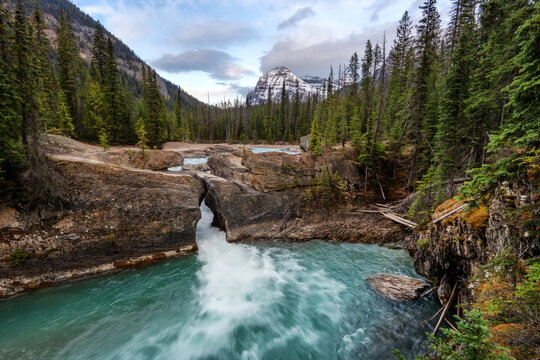 Natural Bridge falls with turquoise water in Yoho National Park