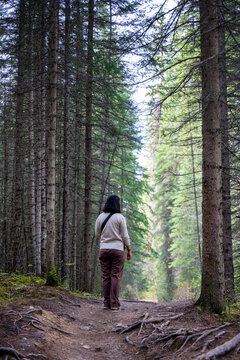 Woman hiking alone on a quiet forest trail