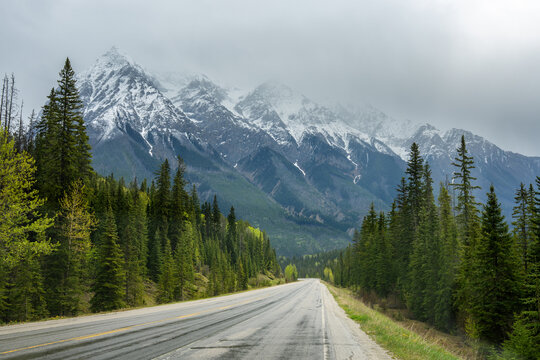 Yoho National Park highway leading to snow capped mountains