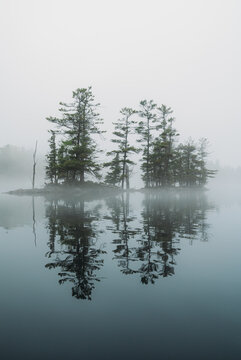 Small pine tree island reflecting in a foggy lake