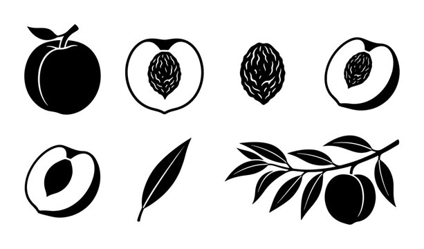 Peach Fruit Icons Set, Vector Graphics for Food and Summer Designs, Fresh Produce Elements