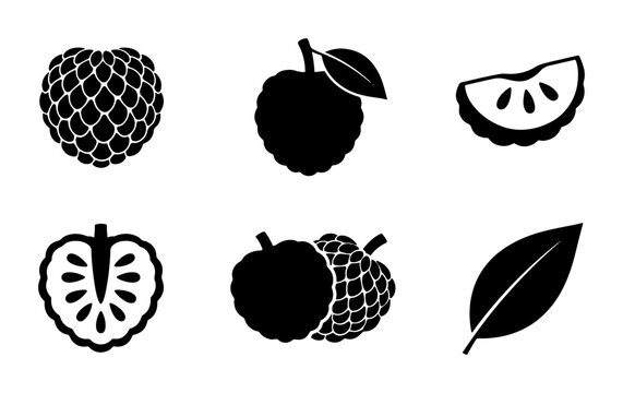 Custard Apple Icons, Sugar Apple Vector Graphics, Annona Squamosa Fruit Silhouettes, Tropical Food Elements