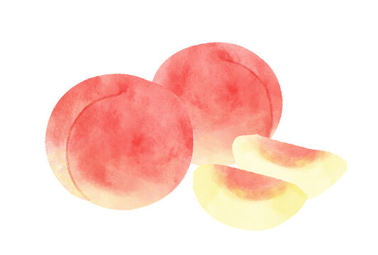 まるごと一つとカットした桃の水彩イラスト