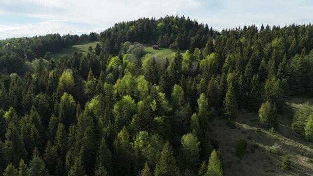 Aerial Drone Hyperlapse Descending Over Mixed Spring Forest Revealing Lone Wooden Cabin on Hilltop Clearing