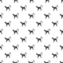 Siberian husky dogs forming an adorable endless pattern on a white background © nsit0108