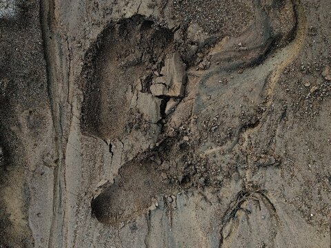 Footprint pressed into a mixture of wet sand and alluvial silt, featuring natural textures and cracks, symbolizing human presence, investigation, or movement through a disaster zone.
