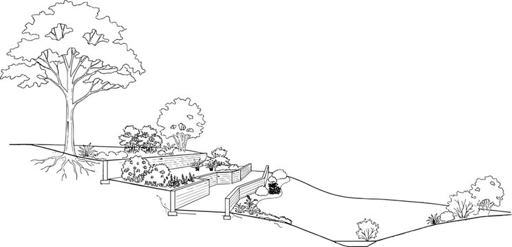 Bioswale rain garden system diagram, sustainable stormwater management cross section vector, eco-friendly drainage infrastructure with labeled layers