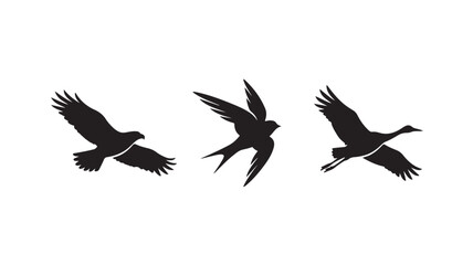 Fototapeta premium Three Black Silhouette Birds Flying Side By Side On White Background For Nature And Wildlife Concepts