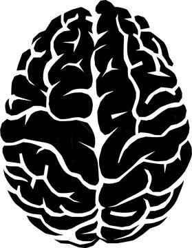 Black and white human brain illustration with detailed gyri and sulci