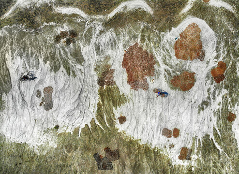 Aerial view of a worker drying red chilies on white sheets in a green field with a bicycle nearby Bogura, Bangladesh.
