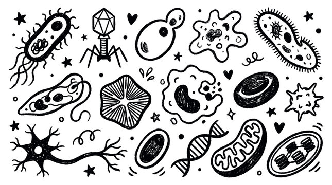 Various hand-drawn biological microorganisms and cells are scattered across a clean white background in a playful doodle style