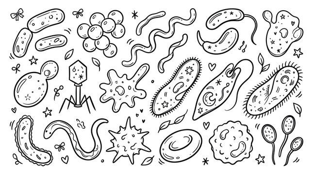 Various hand-drawn microorganisms and bacteria are depicted in a playful doodle style on a clean white background, ideal for educational content