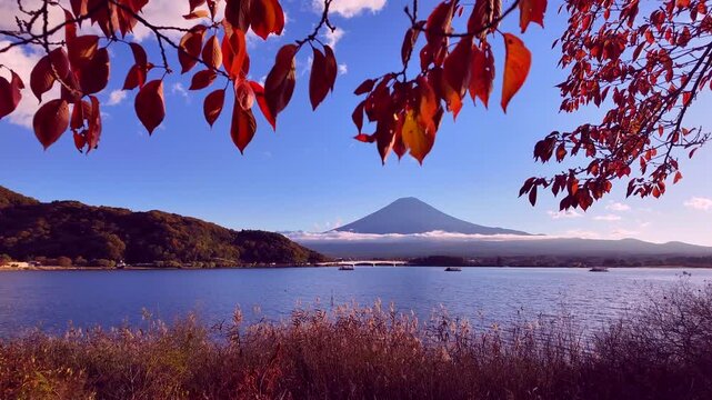河口湖から見た秋の富士山　