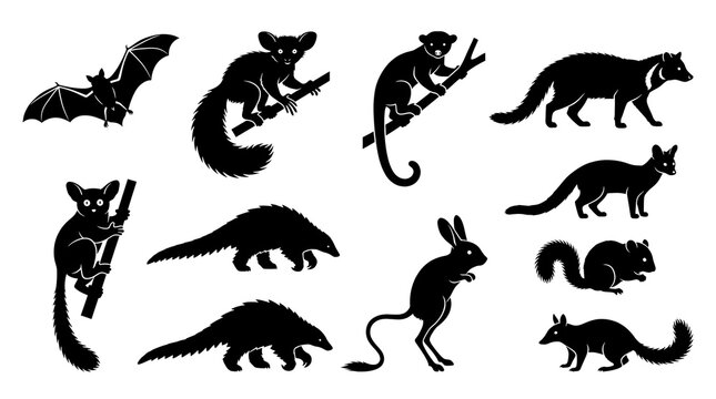Unique nocturnal animal silhouettes isolated on white background featuring rare and fascinating nighttime wildlife species.