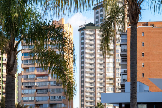 Palm trees break the view as highrise apartments define the Benidorm, Spain skyline, with tourism resort architecture rising through coastal depth