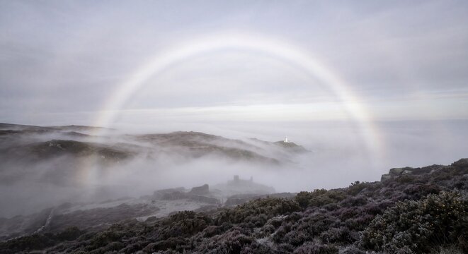 A rare white fog bow arches gracefully over a misty, heather-covered moorland landscape at twilight.