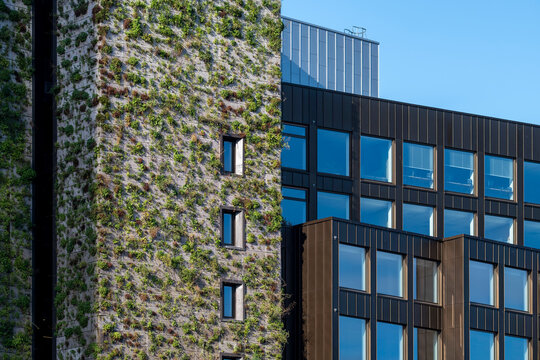 A green facade wraps the modern building with vertical plants, turning each window into an urban detail within contemporary architecture