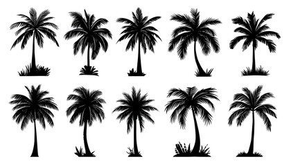 Naklejka premium Palm Trees Arranged in Rows as Minimalist Black Silhouettes on a transparent background for Tropical or Summer-Themed Designs and Illustrations