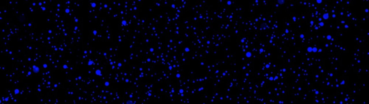 Night starry skies with twinkling stars motion background. Universe, planets nebula cloud. moving traveling through star fields in space. Milky way galaxy star space dust. 4K