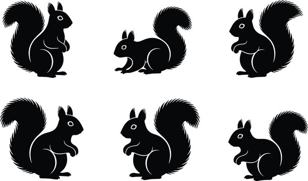 Stylized black squirrel silhouettes with bushy tails in multiple poses for wildlife design, decoration, and creative projects