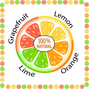 A set of stylized citrus fruits in an advertising banner.Vector illustration of a stylized banner with citrus fruit slices on a transparent background with text and a fruit frame.