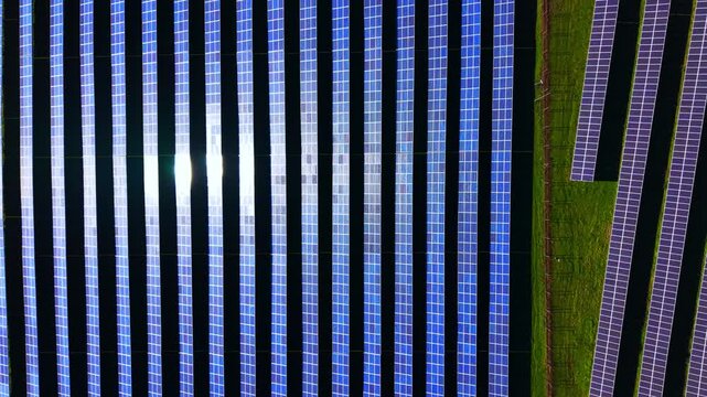 Overhead drone shot of photovoltaic modules field with bright sun glint reflection on blue cells near green grass. Top down perspective of solar panel array.