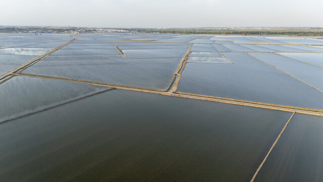 Aerial view of flooded rice paddies at Isla Minima with narrow dirt paths dividing the water under a soft hazy sky in Coria del Rio, Andalusia, Spain.