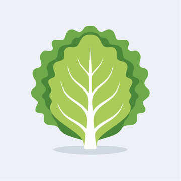 Flat design illustration of a fresh green lettuce leaf