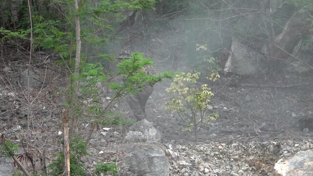 Soldier moves through smoke in a forest during military training operations in a remote area