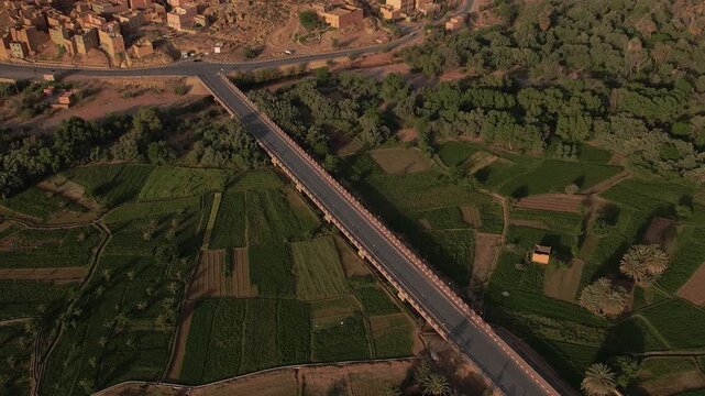 Regional roadway bridge near Tinghir in Draa-Tafilalet, Morocco, crossing irrigated agricultural land between the High Atlas and Jbel Saghro ranges with traditional oasis cultivation patterns, aerial