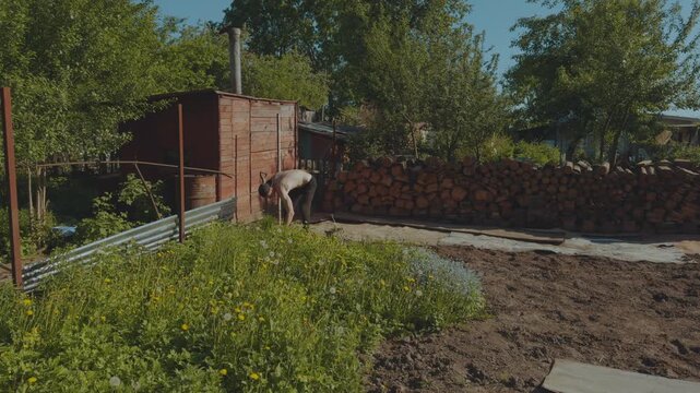 Weeding the ground, weeding the soil, clean the soil of weeds, remove weeds in the soil